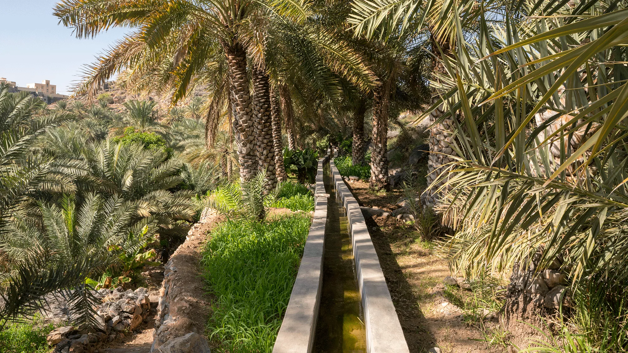 sponge city in Oman