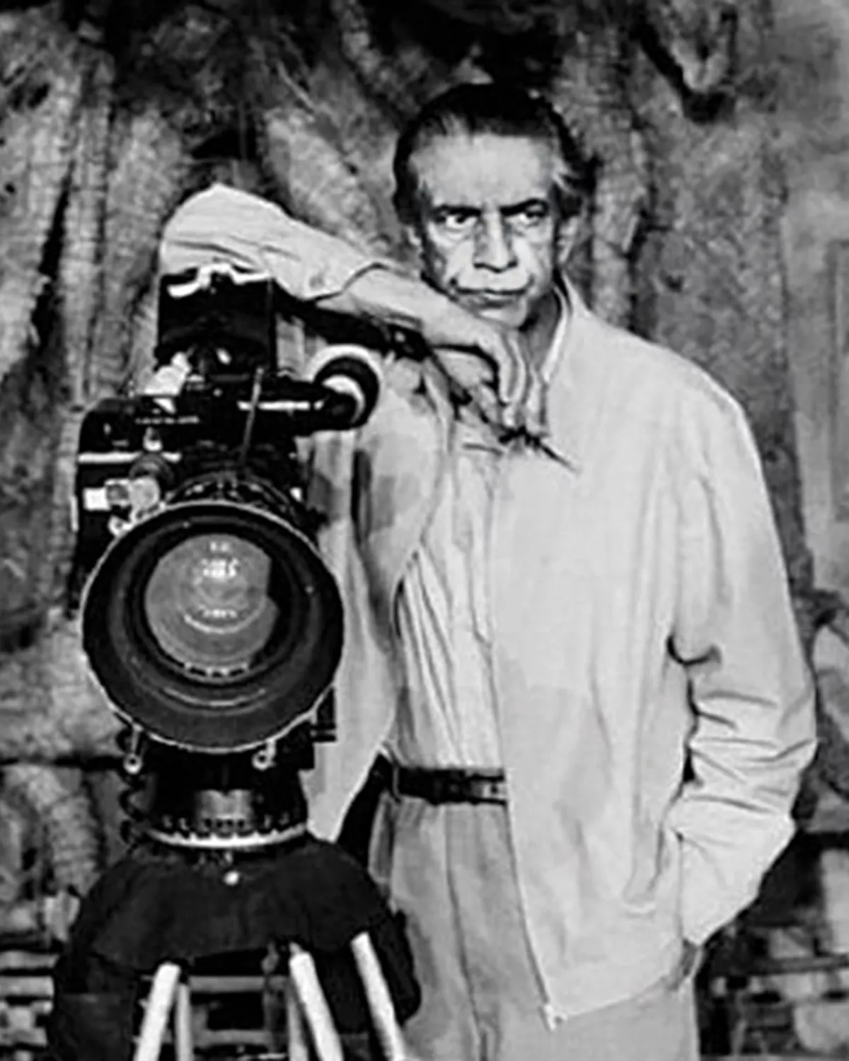 cinema 28